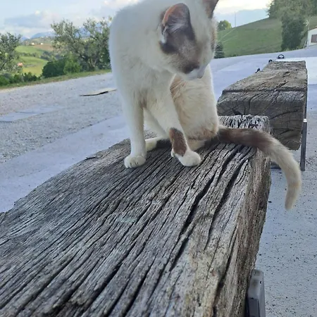 B&B Casacocco' - Agri Host 4*