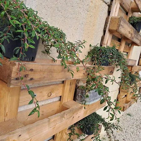 Bed & Breakfast Casacocco' - Agri Host