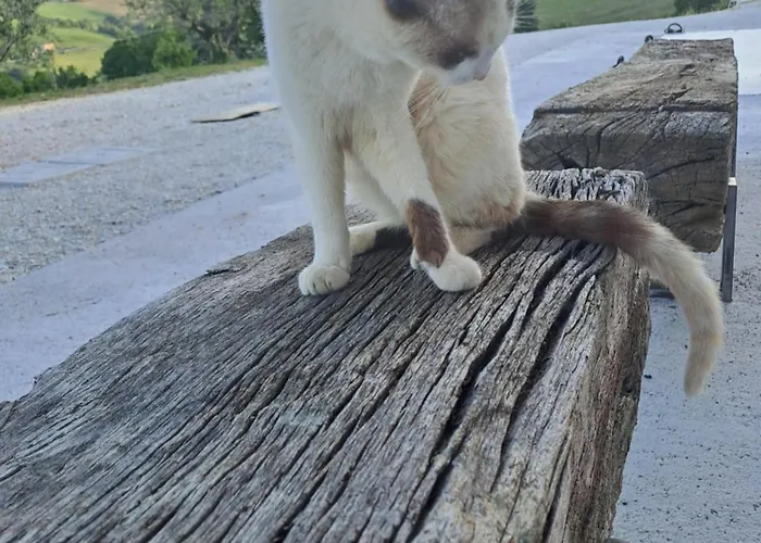 Bed & Breakfast Casacocco' - Agri Host 4*