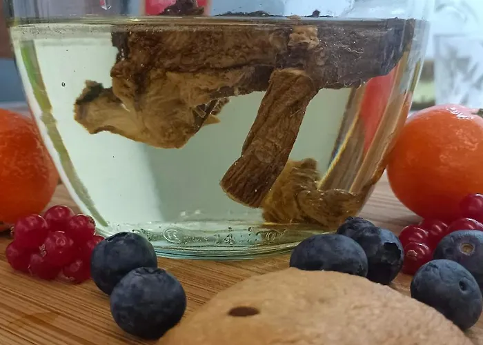 Casacocco' - Agri Host Bed & Breakfast San Ginesio