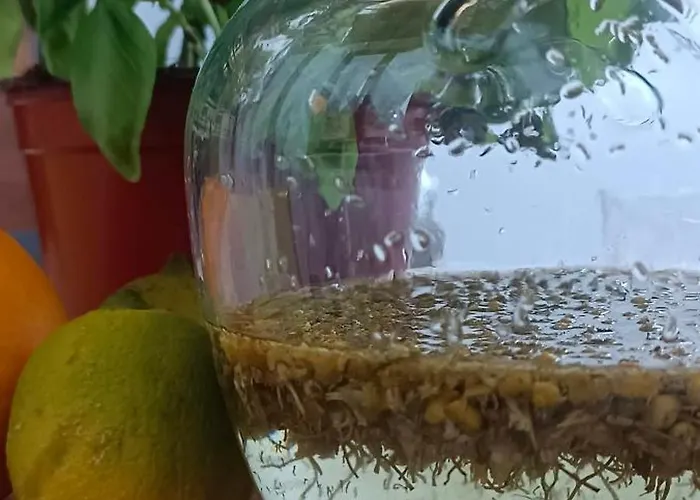 Casacocco' - Agri Host